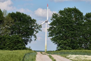 Rüzgâr türbini kırsal beton yolun sonunda duruyor. Parlak mavi gökyüzünün altındaki yemyeşil ağaçlar çerçeveli. Doğanın ve yeniliğin buluşunu simgeliyor.