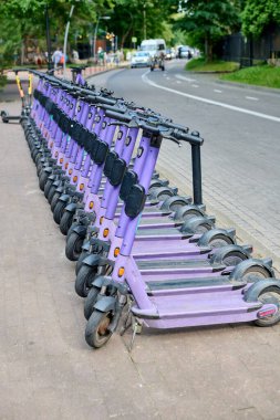 Şehir kaldırımında düzgün düzenlenmiş mor e-scooter 'lar. Parlak, açık bir gün şehir ortamını güçlendirir. Scooter 'lar yeşil çevreyle caddeye bakıyor.