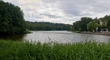 Svetlogorsk, Rusya - 13.07.2024 - Sakin göl kenarındaki Serene Parkı, yoğun ağaçlar ve yemyeşil çimlerle çevrili, bulutlu gökyüzünün altında, dinlenmek ve düşünmek için barışçıl bir geri çekilme öneriyor