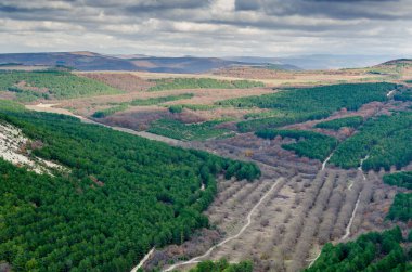 Geniş Kırım arazisinin havadan görünüşü. Yoğun yeşil ormanlar bulutlu gökyüzünün altında çorak tarlalarla kesişiyor. Arka planda yuvarlanan tepeler doğal güzelliği artırır.