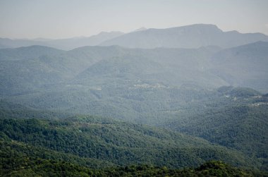 Geniş dağ silsilesi ince bir sis tabakası altında uzanıyor. Yuvarlanan zirveler yemyeşil yeşil, dingin bir manzara yaratır. Hafif bir ışık, huzurlu bir atmosferi canlandırıyor.