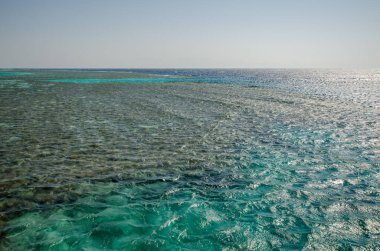 Parlak güneş ışığı altında ışıldayan yüzeyi olan geniş bir Kızıl Deniz manzarası. Berrak, turkuaz sular altında yatan dokuları ortaya çıkarır. Ufuk gökyüzü ile huzur içinde birleşir.