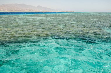 Kızıl Deniz 'in turkuaz suları parlak güneş ışığı altında parıldıyor. Dalgalanan yüzey uzak dağlarla buluşarak sakin ve nefes kesici deniz manzarası yaratıyor. Açık gökyüzü canlı manzarayı güçlendirir