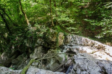Parlak orman sahnesinde yeşil yapraklarla çevrili kayalık şelale yolu var. Güneş ışığı yoğun tepe örtüsünden süzülerek noktalı ışık efektleri yaratır. Doğal dokularla sakin bir atmosfer.