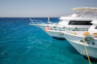 Parlak güneş ışığı, Kızıl Deniz 'in canlı mavi sularına demir atmış iki beyaz tekneyi aydınlatıyor. Açık hava sakin deniz ortamını tamamlıyor, huzurlu deniz manzarasını yakalıyor.