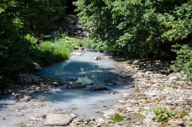 Yoğun ve yapraklı ormandan akan sakin bir dere. Güneş ışığı, berrak su ve pürüzsüz kayaların üzerine çöker ve barışçıl bir ortam yaratır. Yeşillik doğal güzelliği ön plana çıkarır.
