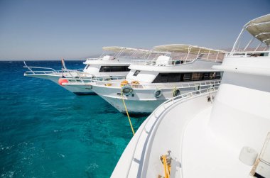 Parlak güneş altındaki parlak turkuaz sularda huzurlu bir şekilde demirleyen parlak beyaz kayıklar sakin bir sahil manzarası yaratıyor. Mavi gökyüzü canlı suyu tamamlıyor, deniz güzelliğini ve sükuneti arttırıyor.