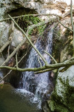 Bereketli ormandaki engebeli kayaların üzerinde yumuşak şelaleler. Dalların çerçeve sahnesi, doğal kemer yolu oluşturur. Güneş ışığı filtreler, suları aydınlatır