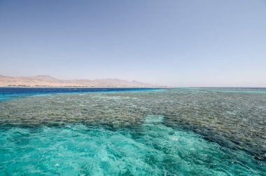 Kızıl Deniz 'in geniş görüşü canlı turkuaz suları ve zengin mercan oluşumlarını ortaya koyuyor. Güneşli ve berrak, uzak ufukta deniz ve gökyüzünü harmanlayan. Huzurlu ve büyüleyici deniz manzarası