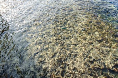 Tropikal tatil beldesindeki berrak ve sığ suların altındaki güneşli mercan resiflerinin göz kamaştırıcı manzarası. Doğal desenler sakin kıyı ortamında büyüleyici görsel efektler yaratır.