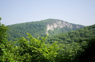 Parlak mavi gökyüzünün altında sık ormanlarla kaplı yemyeşil bir dağ. Güneş ışığı yeşillikleri yıkıyor, canlı bir manzara yaratıyor. Doğal güzelliğe sahip sakin bir atmosfer vurgulandı