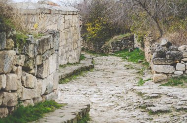 Eski Kırım harabelerinde esiyor. Bulutlu gökyüzü ve soluk renkler dingin, tarihi bir ortam yaratır. Yapraksız ağaçların çerçevesi kırsal
