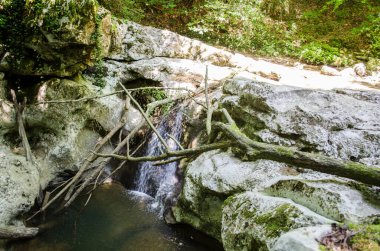 Bereketli ormandaki engebeli kayaların üzerinde yumuşak şelaleler. Dalların çerçeve sahnesi, doğal kemer yolu oluşturur. Güneş ışığı filtreler, suları aydınlatır