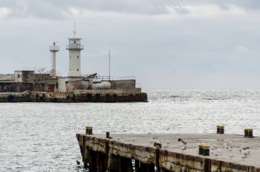 Bulutlu gökyüzünün altında martılarla dolu iskelenin yanında eski deniz feneri duruyor. Sakin deniz, yapıyı sarar ve sakin bir sahil manzarası yaratır. Okyanus ve gökyüzüne yumuşak ve sessiz renkler hakim.