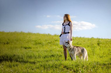 Uzun kızıl saçlı ve beyaz elbiseli genç bir kadın yeşil çayırda Husky 'nin yanında duruyor. Parlak öğleden sonra güneşi kırsal araziyi aydınlatır. Gökyüzünde çok az kabarık bulut var