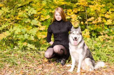 Uzun kızıl saçlı genç bir dişi, canlı sonbahar ormanlarında kabuklu köpekbalığının yanında diz çöker. Parlak güneş ışığı sarı yaprakları vurgular, sıcak ve canlı bir ton yaratır. Sahne sükunet ve arkadaşlığı yakalar