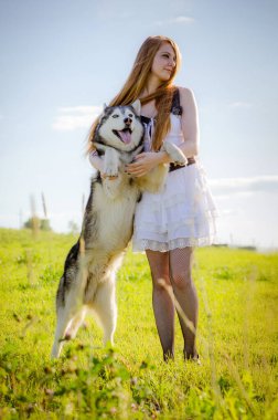 Uzun kızıl saçlı, beyaz elbiseli genç bir kadın gür yeşil tarlada iri yapılı bir köpeğe sarılıyor. Ayçiçeği, parlak mavi gökyüzünün altında yakınlarda açar. Sıcak, huzurlu bir atmosfer.