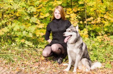 Uzun kızıl saçlı genç bir dişi, canlı sonbahar ormanlarında kabuklu köpekbalığının yanında diz çöker. Parlak güneş ışığı sarı yaprakları vurgular, sıcak ve canlı bir ton yaratır. Sahne sükunet ve arkadaşlığı yakalar