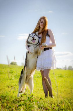 Uzun kızıl saçlı, beyaz elbiseli genç bir kadın gür yeşil tarlada iri yapılı bir köpeğe sarılıyor. Ayçiçeği, parlak mavi gökyüzünün altında yakınlarda açar. Sıcak, huzurlu bir atmosfer.