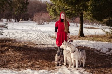Kırmızı elbiseli genç beyaz kadın karlı ormanda Huskies ile duruyor. Güneş ışığı ağaçların arasından süzülür, yere gölge düşürür. Sahne peri masalı atmosferini çağrıştırıyor