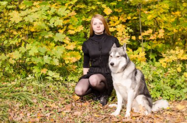 Uzun kızıl saçlı genç bir dişi, canlı sonbahar ormanlarında kabuklu köpekbalığının yanında diz çöker. Parlak güneş ışığı sarı yaprakları vurgular, sıcak ve canlı bir ton yaratır. Sahne sükunet ve arkadaşlığı yakalar