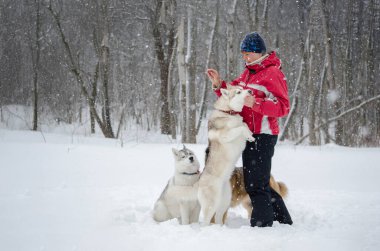Kırmızı ceketli genç bir kadın karlı ormanda üç Husky ile etkileşime geçiyor. İki köpek yavrusu yanında duruyor, biri neşeyle zıplıyor. Kar yağıyor, sakin bir kış ortamı yaratıyor.