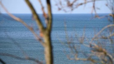 Çıplak dallar arasında Baltık Denizi manzarası. Perspektif, berrak gökyüzü altında sakin mavi suların altını çizerek doğal bir çerçeve yaratır. Barışçıl ve minimalist atmosfer