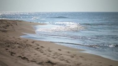 Sabah ışığı altında kumlu sahile vuran yumuşak dalgalarla sakin bir sahil. Güneş ışığı sudan yansıyarak ışıldayan bir etki yaratır. Ufuk berrak gökyüzü ile buluşur