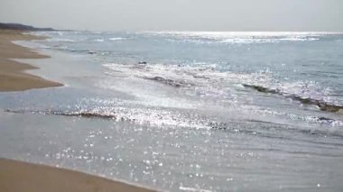 Okyanus dalgaları parlak güneş ışığı altında parıldıyor, yavaşça kumlu sahile dokunuyor. Açık gökyüzü ufukla buluşup sakin bir kıyı manzarası yaratıyor. Yumuşak renkler huzurlu atmosferi güçlendirir