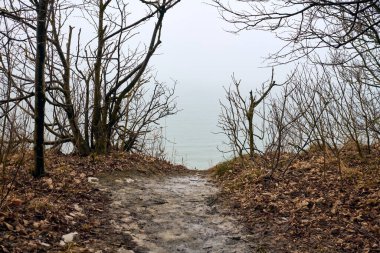 Dar toprak yol sisle kaplı rıhtıma çıkıyor. Yapraksız ağaçlar yolu çerçeveler, karamsar ve sakin bir atmosfer yaratır. Yumuşak ışıklandırma huzur ve tenha ortamı geliştirir