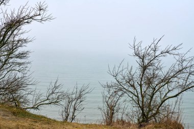 Çıplak dallar sisli gölü çevreleyip huzur verici, sisli bir manzara yaratıyor. Sakin su ve soluk renkler sükuneti arttırır. Bulutlu gökyüzü yumuşak sisle harmanlanır