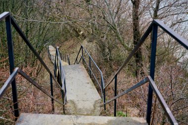 Çelik merdiven çıplak dallarla ormana iniyor. Perspektif derinlik gösteriyor. Kahverengi ve çorak ağaçlarla gri merdivenler zıt. Serin, sessiz ışıklandırma huzur ortamını geliştirir