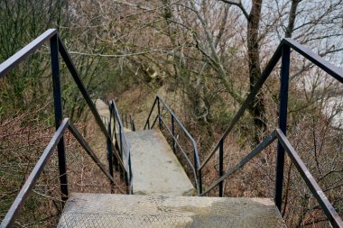 Çelik merdiven çıplak dallarla ormana iniyor. Perspektif derinlik gösteriyor. Kahverengi ve çorak ağaçlarla gri merdivenler zıt. Serin, sessiz ışıklandırma huzur ortamını geliştirir