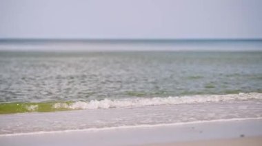 Baltık Denizi kıyısında açık gökyüzünün altında koşan genç bir kadın. Islak kumda çıplak ayakla güneşli günün tadını çıkarıyorum. Hareket orta basamakta, bacaklara odaklanmış.