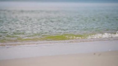 Baltık kıyılarında koşan genç bir yetişkin neşeli enerjiyi yakalıyor. Gün ortası güneşi, sakin sularda kaygısız anları aydınlatan yumuşak dalgalarla sahneyi aydınlatır.