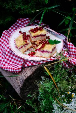 kırmızı kuş üzümü ve fındık barlar tabii rustic.selective focus