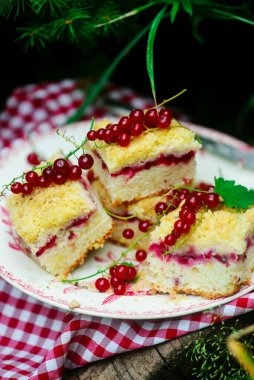 kırmızı kuş üzümü ve fındık barlar tabii rustic.selective focus