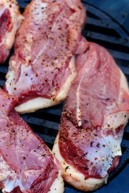 Açık havada kiraz soslu ördek göğsü. Tarz rustik. Seçici odaklanma.