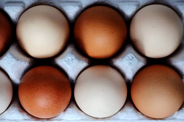 Taze, organik, serbest yumurta. En iyi et. seçici odak