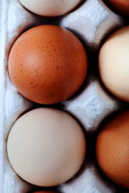 Taze, organik, serbest yumurta. En iyi et. seçici odak