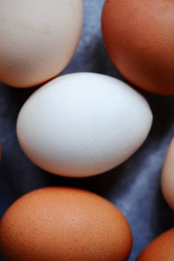 Taze, organik, serbest yumurta. En iyi et. seçici odak