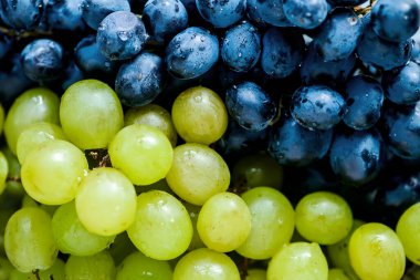 Taze, olgun, organik üzümler. Yakın plan. Üst Manzara. seçici odak.  