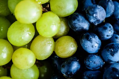 Taze, olgun, organik üzümler. Yakın plan. Üst Manzara. seçici odak.  