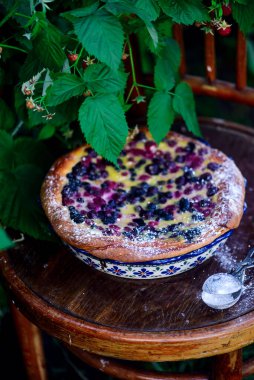 Berry Mix yaz kek.. tarzı rustik. seçici odak