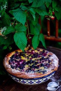 Berry Mix yaz kek.. tarzı rustik. seçici odak