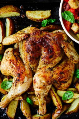 Patatesli spatchcock tavuğu ve fırın tepsisi ve panzanella salatası.