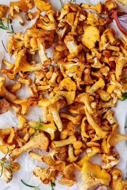 Vahşi chanterelle mantarları ormanda yeni toplandı. En üst veiw. seçici odak