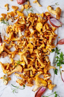 Vahşi chanterelle mantarları ormanda yeni toplandı. En üst veiw. seçici odak