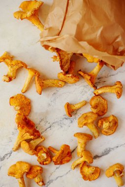 Vahşi chanterelle mantarları ormanda yeni toplandı. En üst veiw. seçici odak