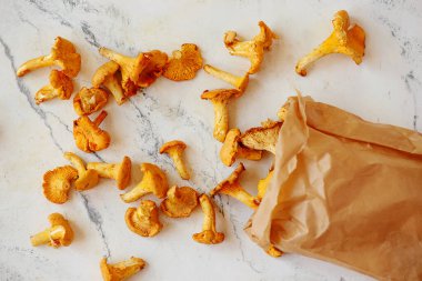 Vahşi chanterelle mantarları ormanda yeni toplandı. En üst veiw. seçici odak